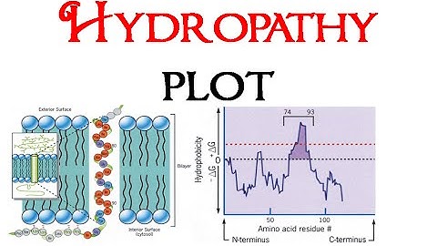 Hydropathy plot