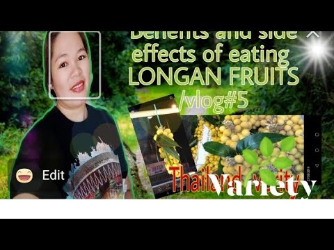 Video: Longan Fruit: Gezondheidsvoordelen, Voedingsprofiel En Bijwerkingen