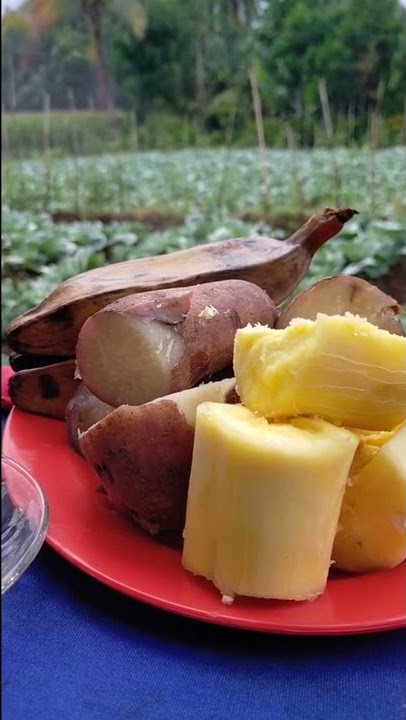 TANPA ADANYA PETANI BUMI KITA AKAN MATI,,, NGETEH DI PAGI HARI
