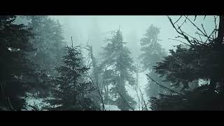 Sonido relajante de viento en el bosque by Pranayama Producciones 43 views 3 years ago 54 minutes