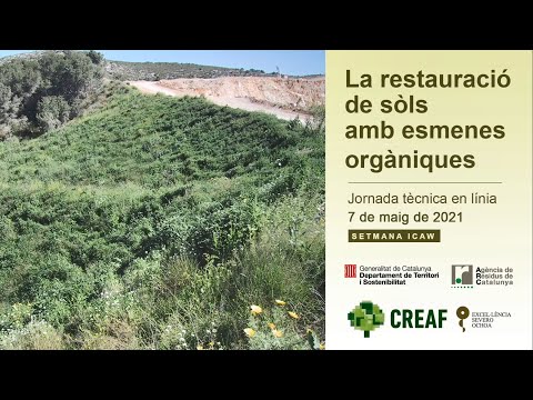 Vídeo: Utilització de cultius de coberta per millorar el sòl argilós - Plantes de cultius de coberta per a sòls argilosos