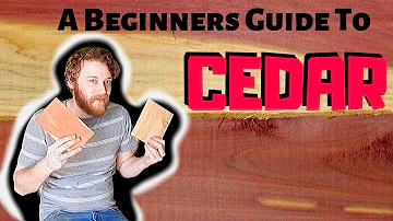 How do you keep cedar from rotting?