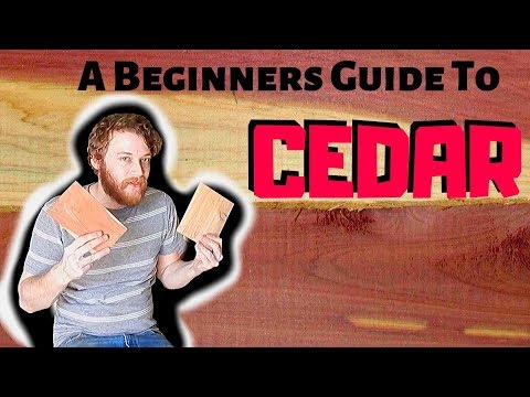 Beginners Guide To Wood Species - What To Expect With Cedar