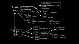 Integrating Pulse Qualities in Traditional Chinese Medicine - Danny Blyth
