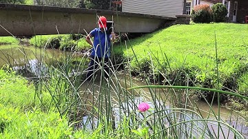 Why we write Total Maximum Daily Loads for Impacted Watersheds-with DOW