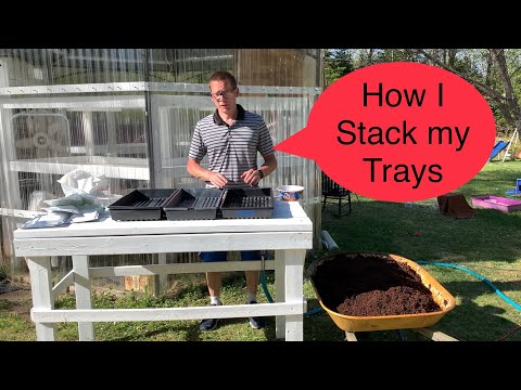 Greenhouse Microgreens (Stacking method)