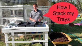 Greenhouse Microgreens (Stacking method)