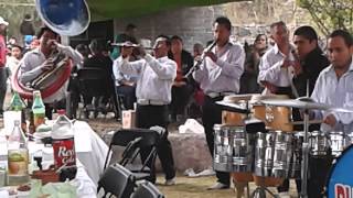 Banda Pluma Blanca del Vigia Morelos