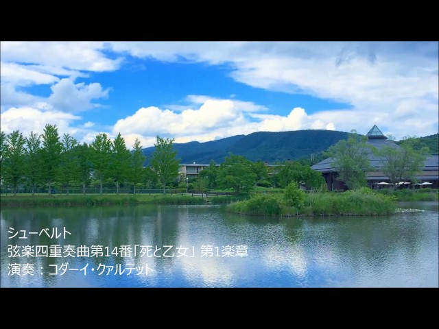 ドラマ カルテットの挿入曲まとめ ドラマ カルテットの挿入曲まとめ