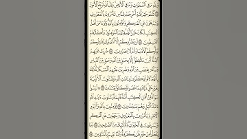 تلاوة سورة آل عمران من الآية 109 إلى الآية 115