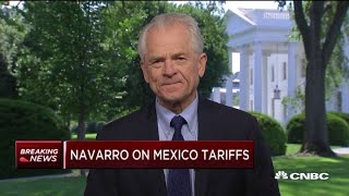 Famous White House's Peter Navarro: Investors should look at tariff threat calmly Wealth