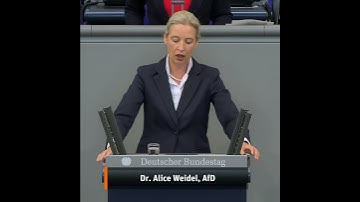 SPD-Kandidatin Kaufhold: Skandalöse Personalie! - Alice Weidel