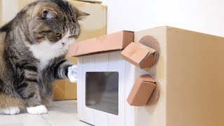 いろいろ開けるねこ。Maru&Hana open various doors.