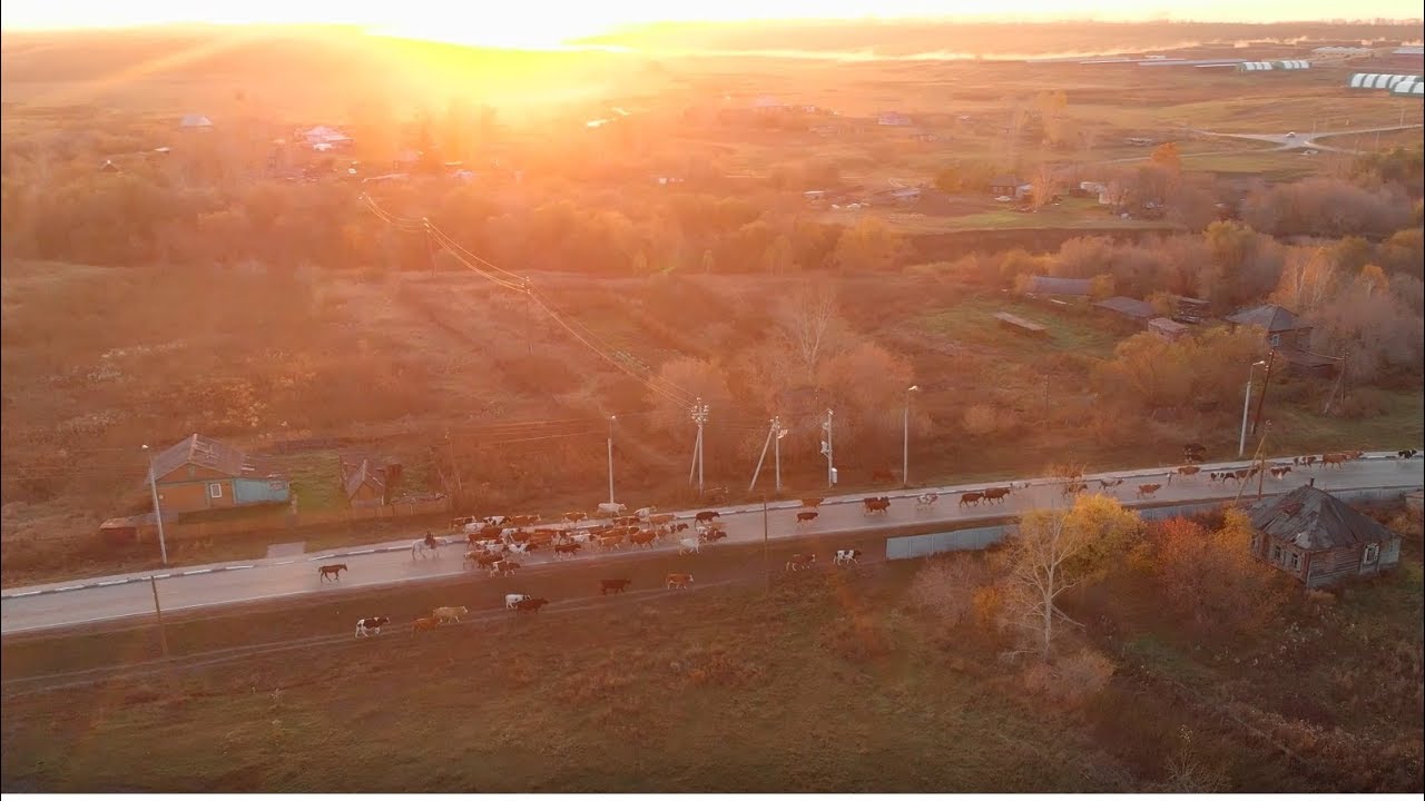 Погода еланда целинный алтайский край. Еланда Алтайский край Целинный район. Поселок Еланда Алтайский край Целинное. Алтайский край Целинный район село Хомутино. Видеоролик поселка Еланды Алтайского края.