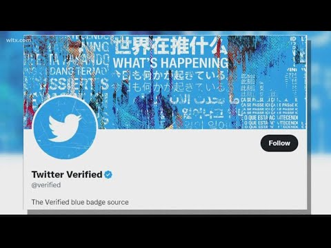 Twitter Owner Elon Musk Says Verified Accounts To Cost 8 Per Month