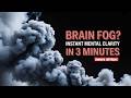 Brain Fog? Instant Mental Clarity in 3 Minutes | Zansere Lofi Music Reset