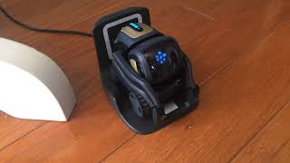 Asking Vector What A Fart Is