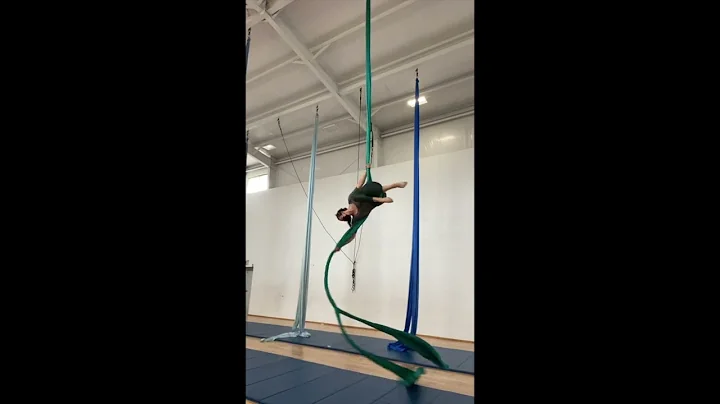 Susan Huntington: Silks Sample
