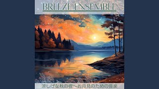 Starry Sky Symphony