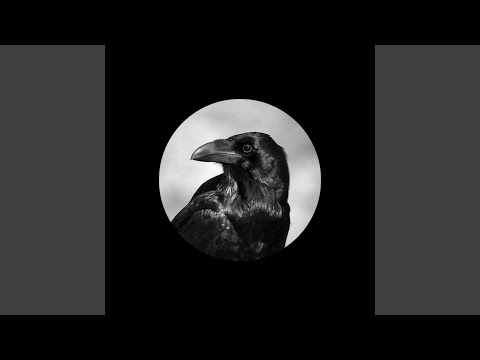 心如止水 - Ice Paper