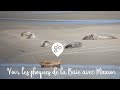 Voir les phoques de la baie de somme avec maxim 