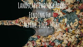 Alpine Loop Utah | Landscape Photography | Finding Fall