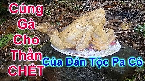 PHONG TỤC CÚNG BÁI CỦA DÂN TỘC PA CÔ /Hồ Kray Bàn - Cuộc Sống Ở Nông Thôn