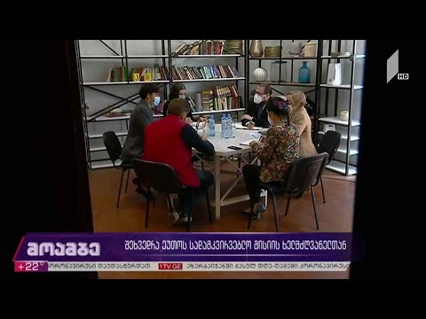 შეხვედრა ეუთო-ს  სადამკვირვებლო მისიის ხელმძღვანელთან