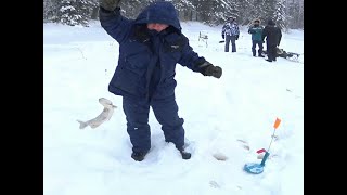 Клев щуки на жерлицы на реке Етыпур