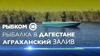 Дагестан. Новые места для рыбалки. Аграханский залив.