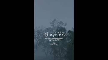 سورة الزمر محمد اللحيدان #قران_كريم #اكتب_شي_تؤجر_عليه #سورة_الزمر #محمد_اللحيدان #صلوا_على_النبي