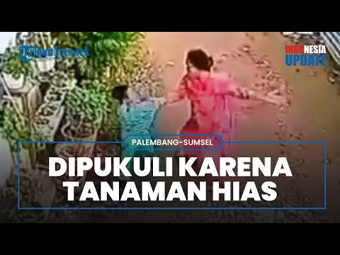 Viral Video Bocah 4 Tahun Dipukul dan Dianiaya Ibu ibu, Kesal Tanaman Hias Pelaku Dirusak