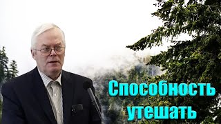 &quot;Способность утешать&quot; Янц Я.