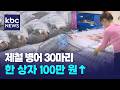 제철 병어 100만원 넘었다...금병어로 불려요 / KBC뉴스