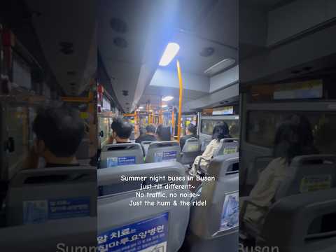 Summer nights make the bus ride way more chill than the day🥸! #busan #nightbus #summer #여름