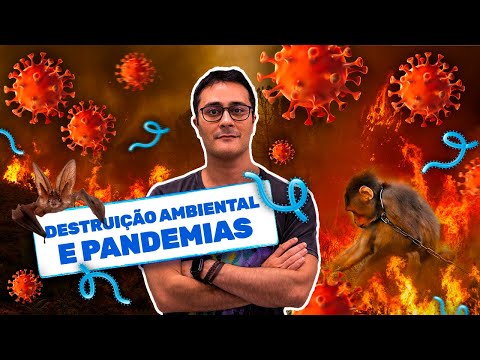 Vídeo: Cavando certo