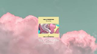 Till von Sein - T&#39;S GROOVE (Suol Music)