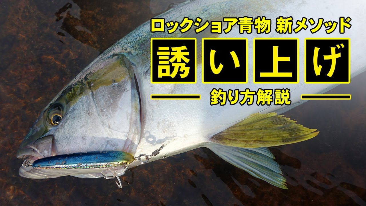 130mmで70gという重さ】ディープレンジを攻略！ヤマリアのロックショア青物ゲーム専用ルアー「リライズS130」に注目！