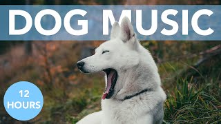 12 HOURS OF RELAXING DOG MUSIC! Great for Anxiety, Crate Training