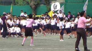 20080517白山中運動会リレー
