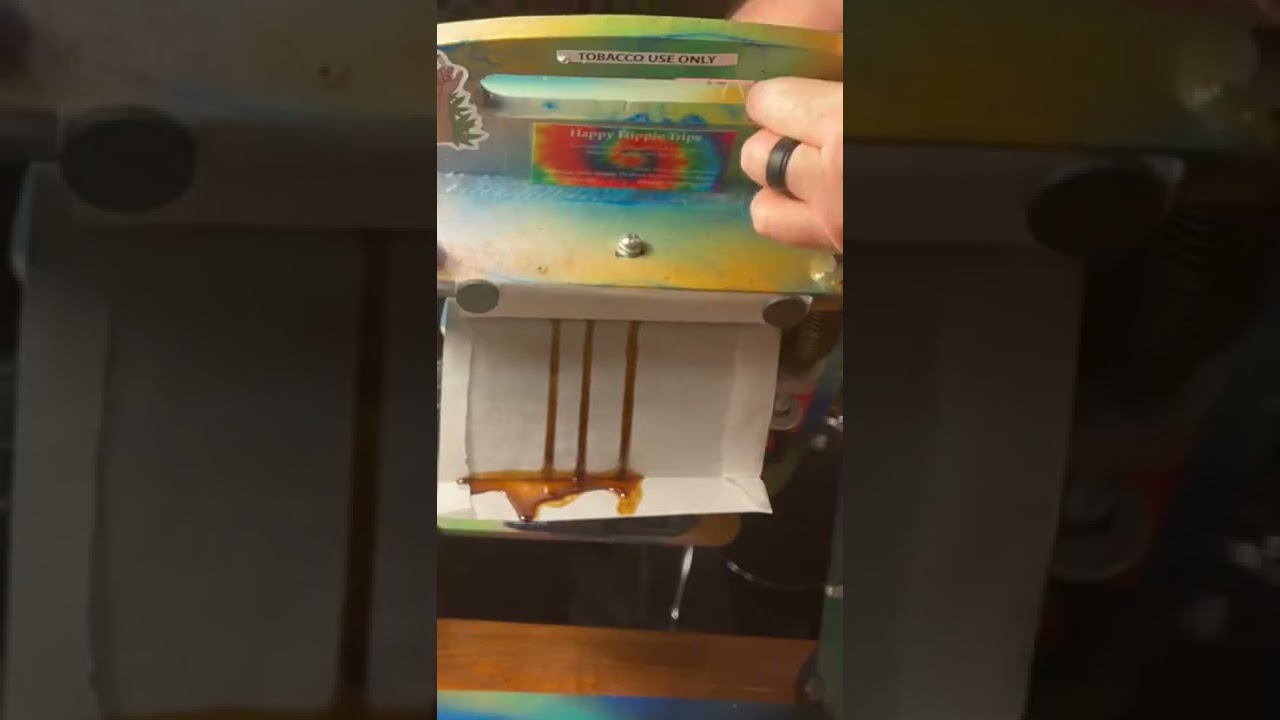 CBD Rosin Flow: Pressing 30 Grams’ Mendocino Purps Hemp