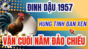 tử vi tuổi Đinh Dậu 1957 cuối năm 2025 – hung cát đan xen, lời cảnh báo bất ngờ