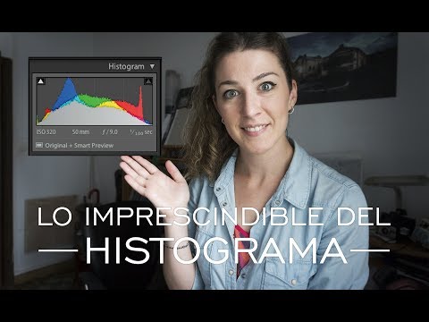 Vídeo: Consejo De Fotografía De Viaje: Introducción Al Histograma - Matador Network