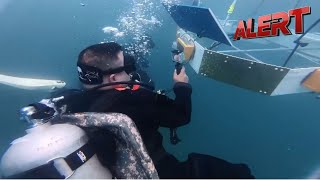 Top Film Expert From China Reveals Best Techniques for Underwater and Space Movies | ALERT News