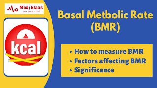 Basal Metabolic Rate (BMR) I Factors affecting BMR I Biochemistry I Mediklaas by Mediklaas 4,210 views 11 months ago 6 minutes, 56 seconds