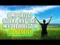 ӨМІРІҢІЗДІ БОСҚА ҚҰРТЫП ЖҮРГЕНІҢІЗДІҢ 10 БЕЛГІСІ