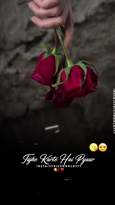 Dil Ki Hai Dhadkan Aankhon Ka Deedar Dil ki hai Dhadkan aankhon ka deedar rab Se bhi jyada tujhe karte Hain