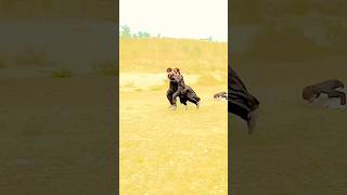 krrish 4 new video slow mogaming india pubg music