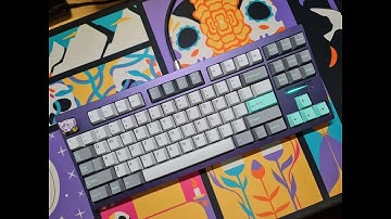 TKD Cycle 8 with HMX Catmint Typing Test