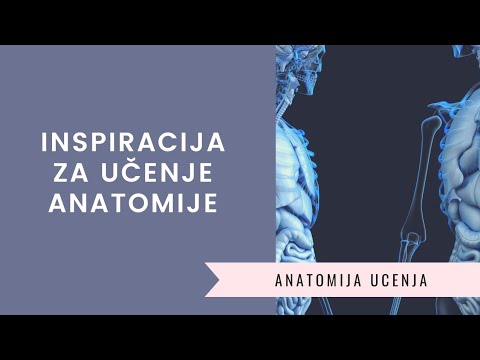 Video: Kako Položiti Anatomiju